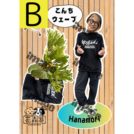 ポストカード　各1枚