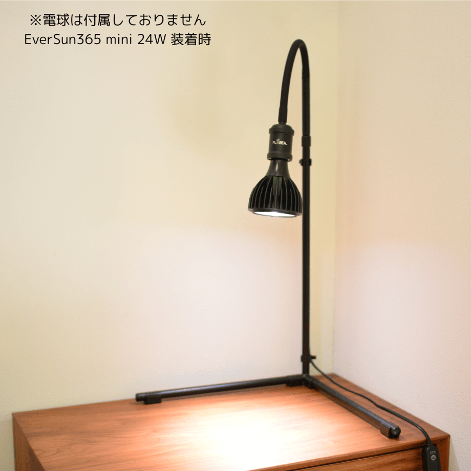 67ac359ac774eb002bd8290e