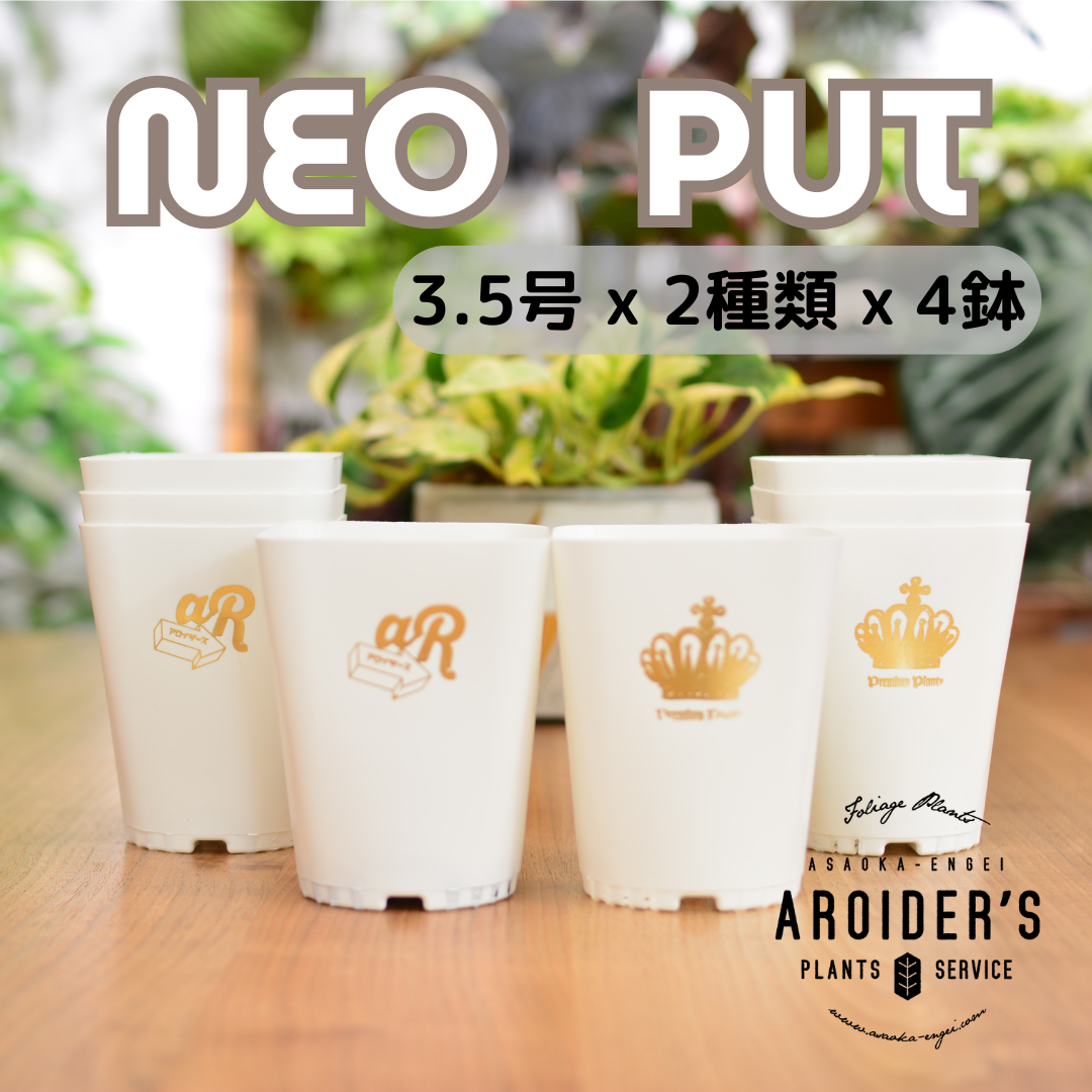Neo Put White 3.5号 2種8鉢セット | 花森家-1号店-