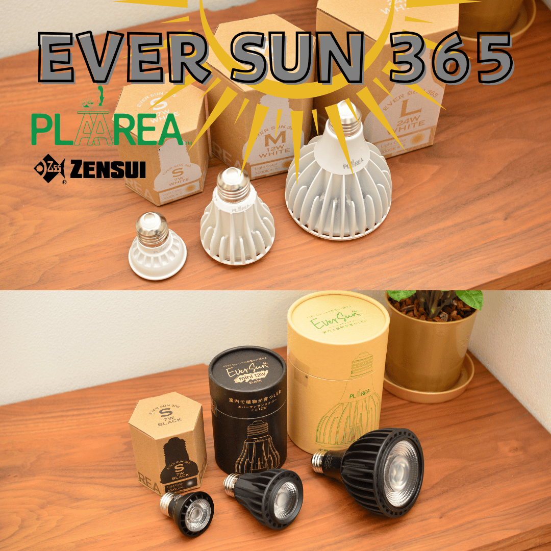 室内で植物が育つLED Ever Sun 365 mini 白黒２個セット 照明】EVER SUN 365 | 花森家-1号店-