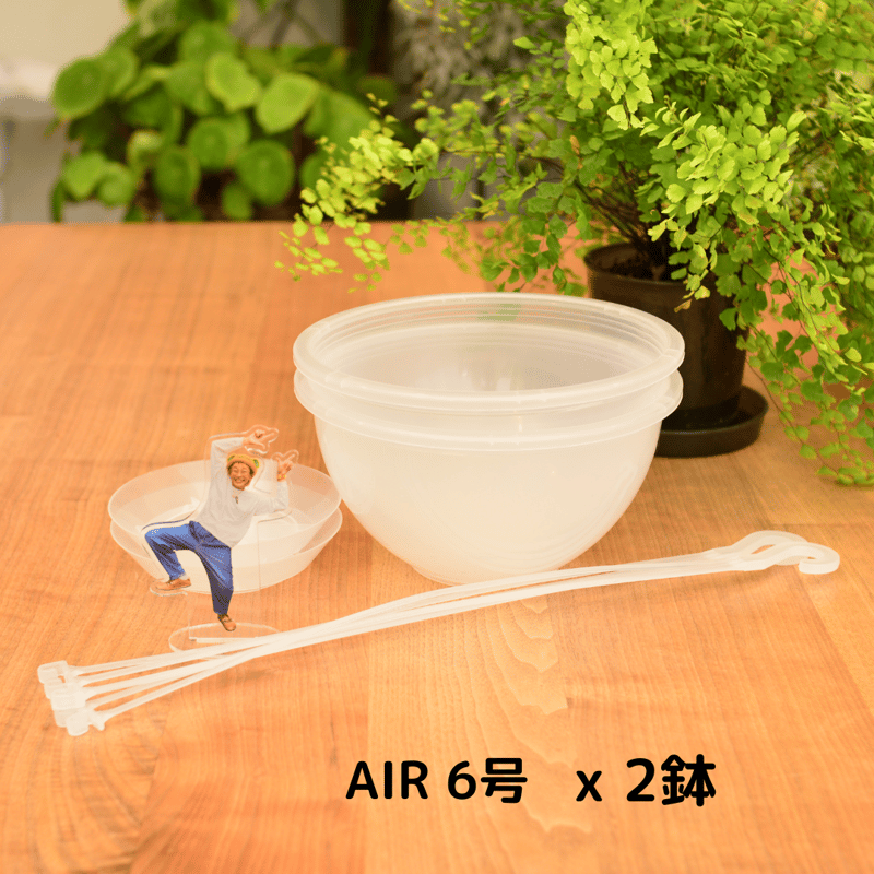 樹脂盛り鉢180個 透明鉢《 NEgamieru 》箱80サイズ Nセット | 花森家-1号店-