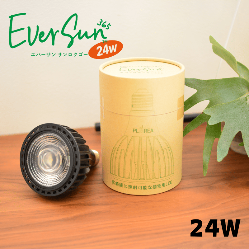 照明】Ever Sun 365 | 花森家-1号店-