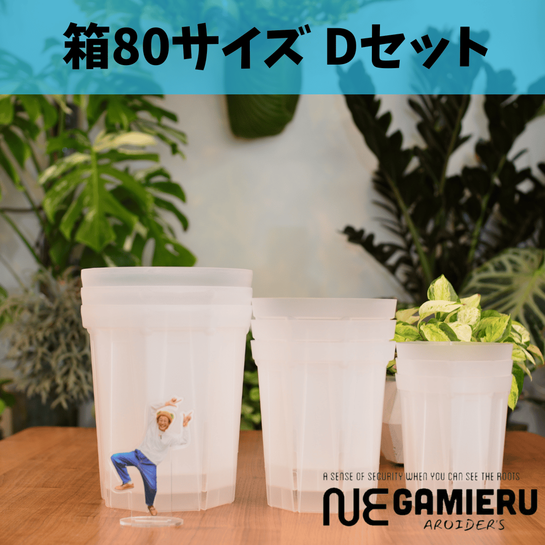 透明鉢《 NEgamieru 》箱80サイズ Dセット | 花森家-1号店-