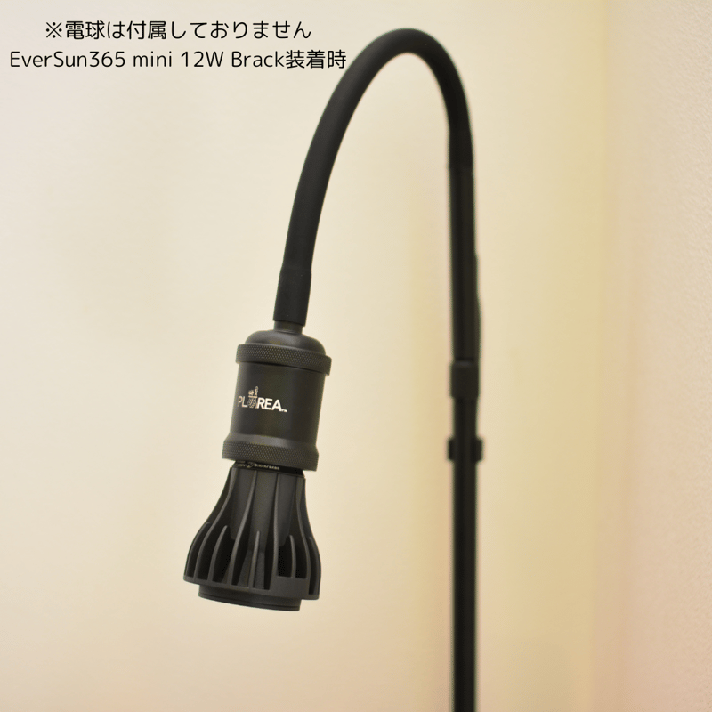 プラエリア　スタンドソケット　ライト プラエリア スタンドソケット 1台 | 花森家-1号店-