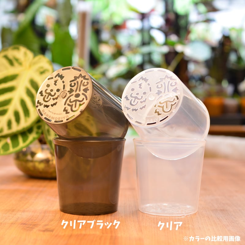 3号]花森家の鉢(クリアブラック)1鉢 | 花森家-1号店-