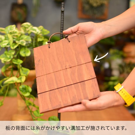 DECOITA｜植物着生専用オリジナル板