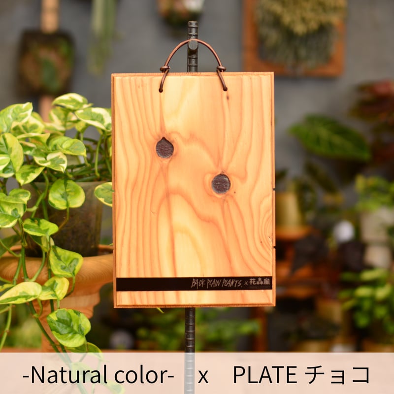 DECOITA｜植物着生専用オリジナル板 | 花森家-1号店-