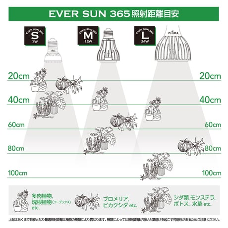 【照明】EVER SUN 365  本体カラー Black Model