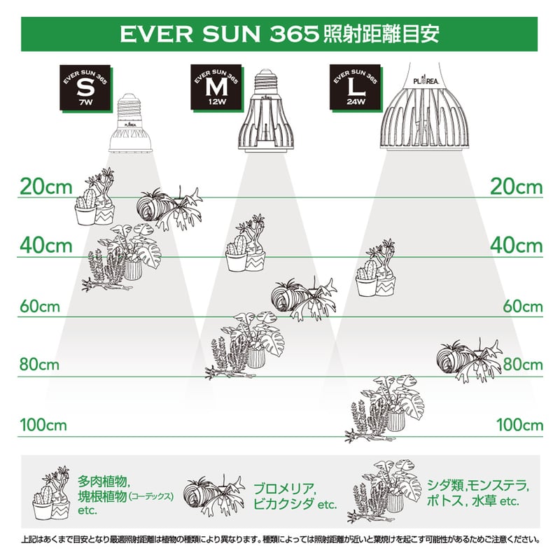 照明】EVER SUN 365 本体カラー White Model | 花森家 オンラインストア