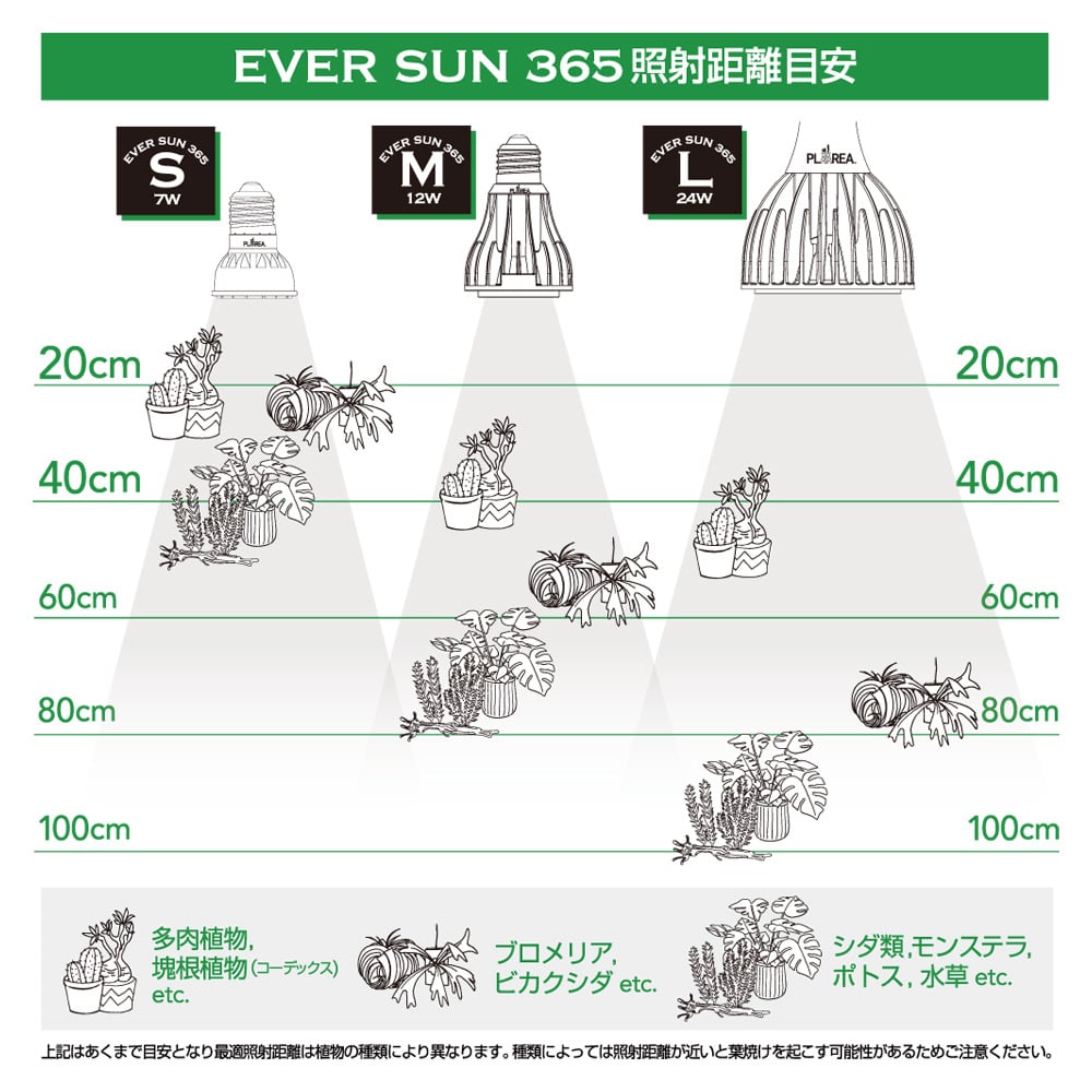 照明】EVER SUN 365 本体カラー White Model | 花森家 オンラインストア