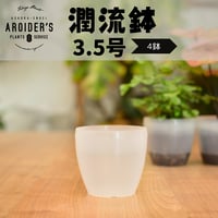 潤流鉢 3.5号 クリア 4鉢セット