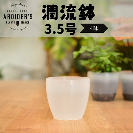 CATEGORY ネガミエル | 花森家-1号店-