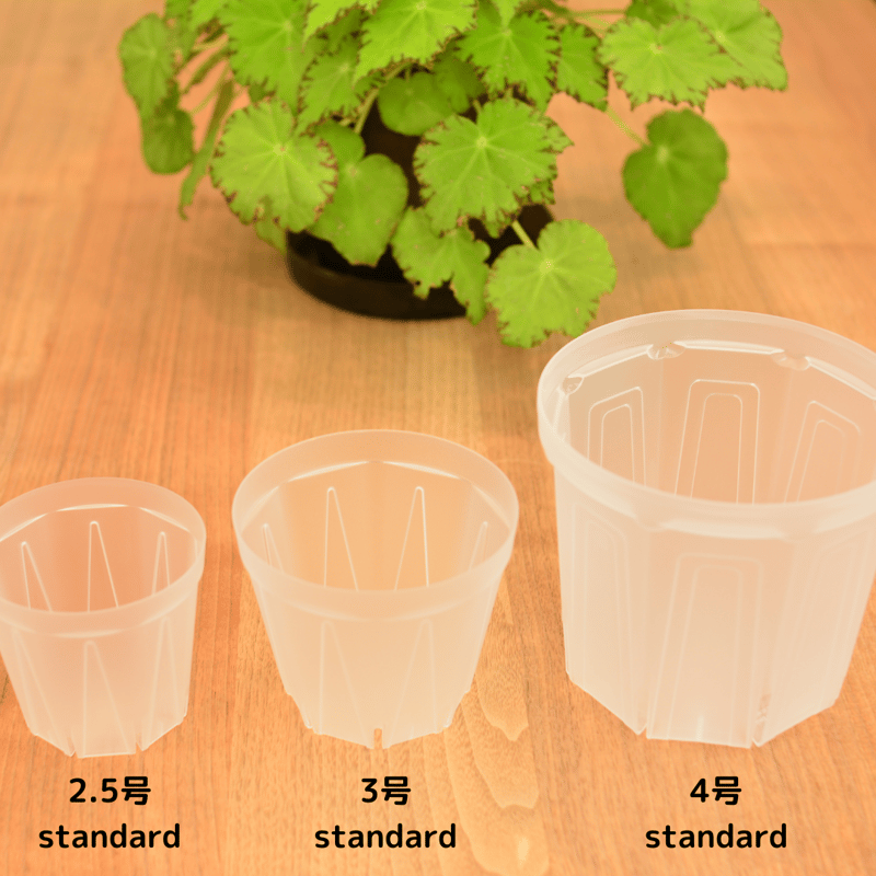 透明鉢《 NEgamieru 》standard 3種7鉢セット | 花森家-1号店-