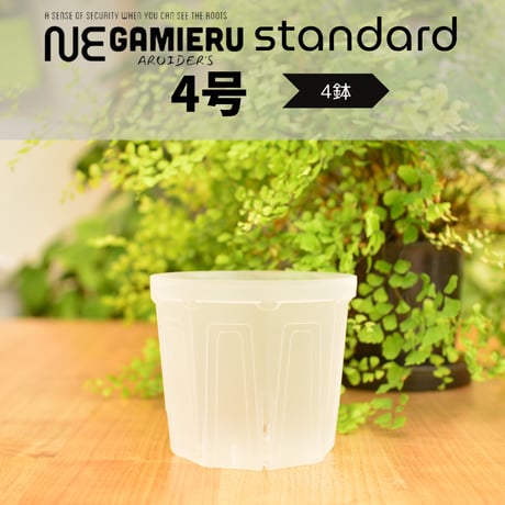 CATEGORY Negamieru | 花森家-1号店-