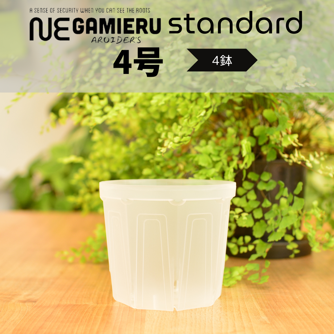 透明鉢《 NEgamieru 》standard 4号 4鉢セット | 花森家-1号店-