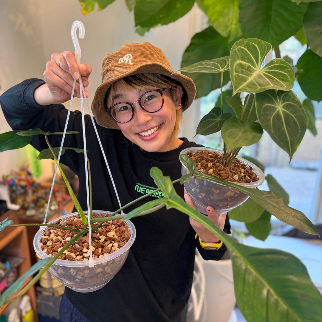 透明鉢《 NEgamieru 》 AIR Max 6号 1鉢 | 花森家-1号店-