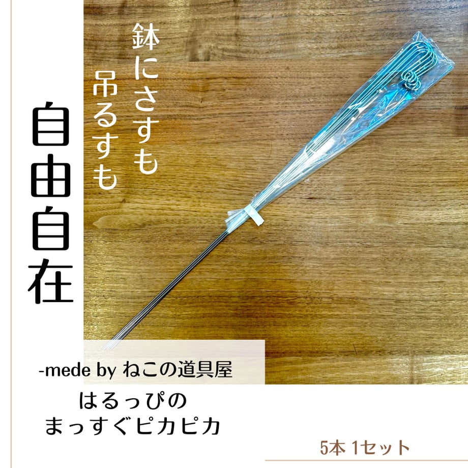6577ec18e3848e002b05dd72