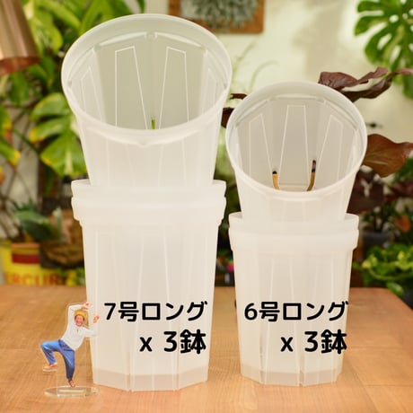 透明鉢《 NEgamieru 》箱80サイズ Qセット