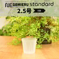 透明鉢《 NEgamieru 》standard 3号 6鉢セット | 花森家-1号店-