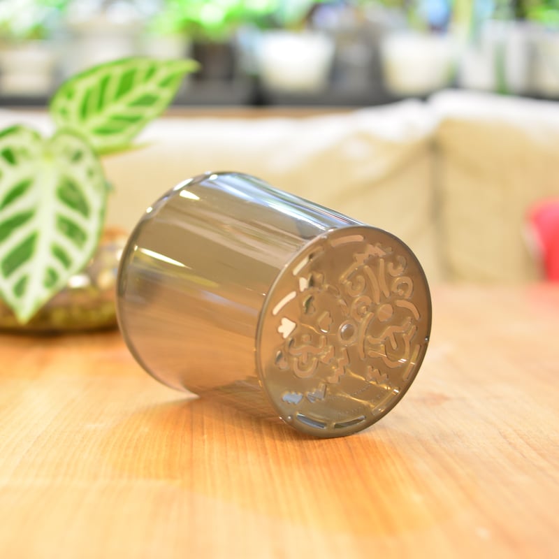 4号]花森家の鉢(クリアブラック)1鉢 | 花森家-1号店-