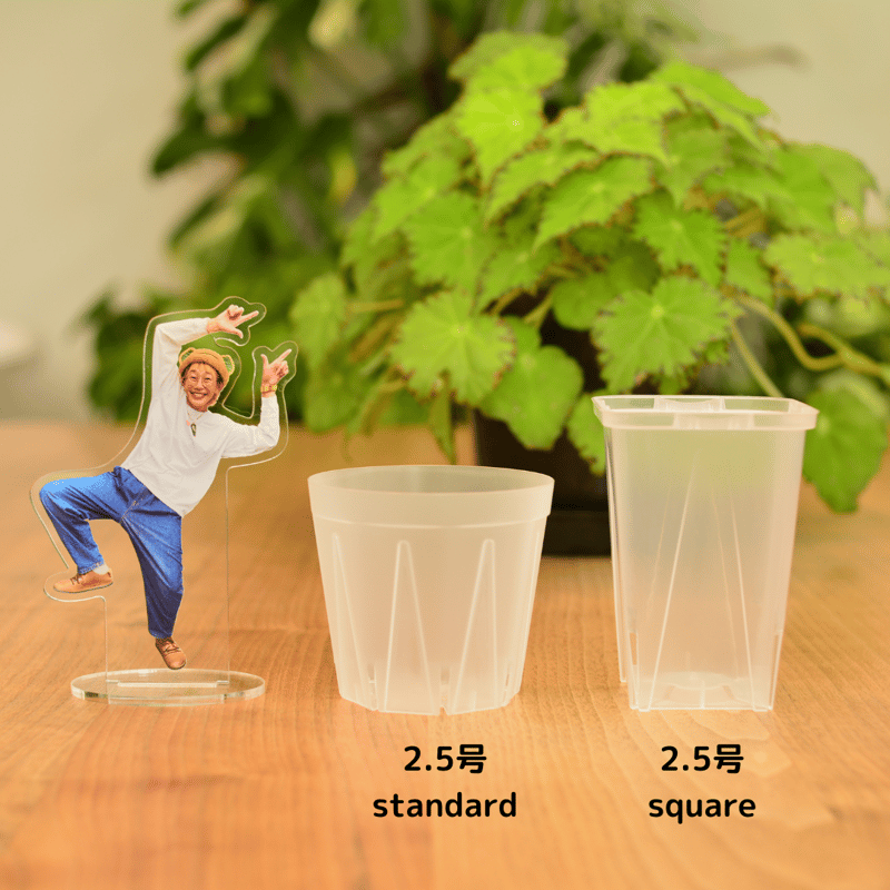 透明鉢《 NEgamieru 》standard 2.5号 8鉢セット | 花森家-1号店-