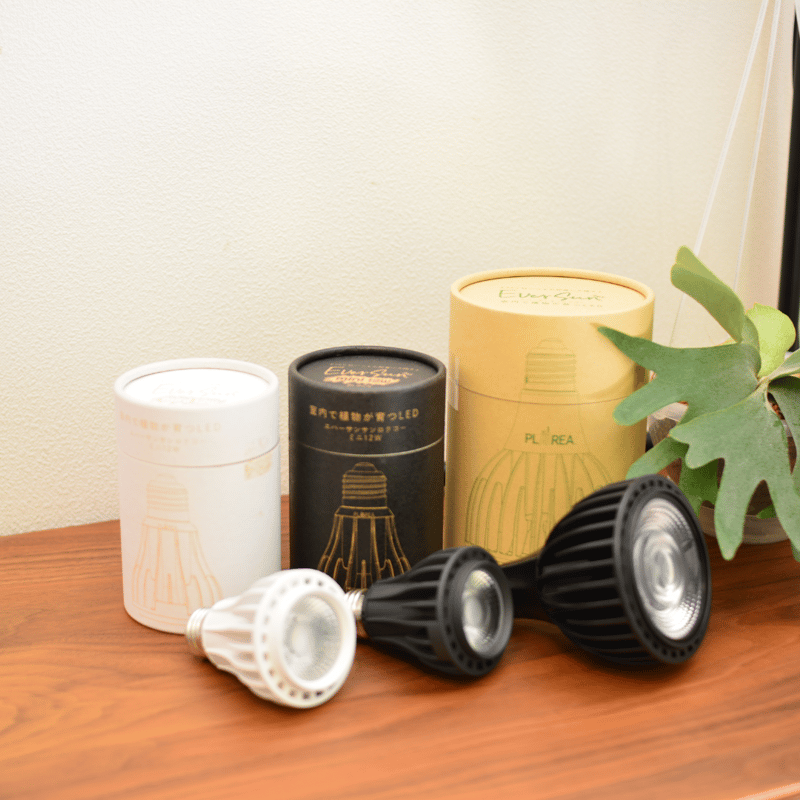 照明】Ever Sun 365 | 花森家-1号店-