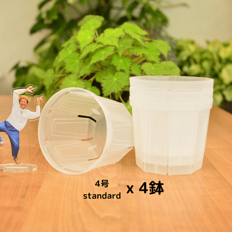 透明鉢《 NEgamieru 》箱60サイズ Eセット