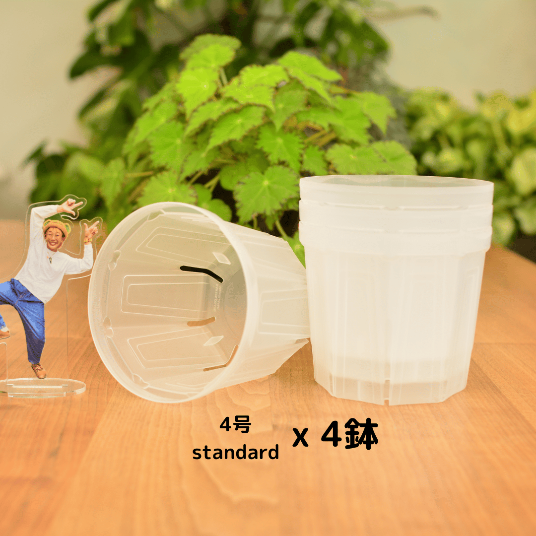 透明鉢《 NEgamieru 》箱60サイズ Eセット | 花森家 オンラインストア