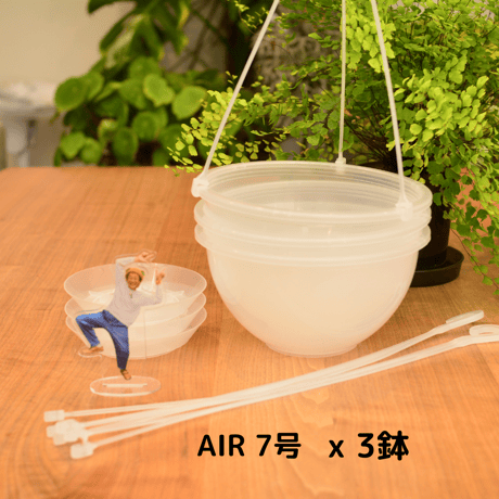 透明鉢《 NEgamieru 》箱80サイズ Pセット