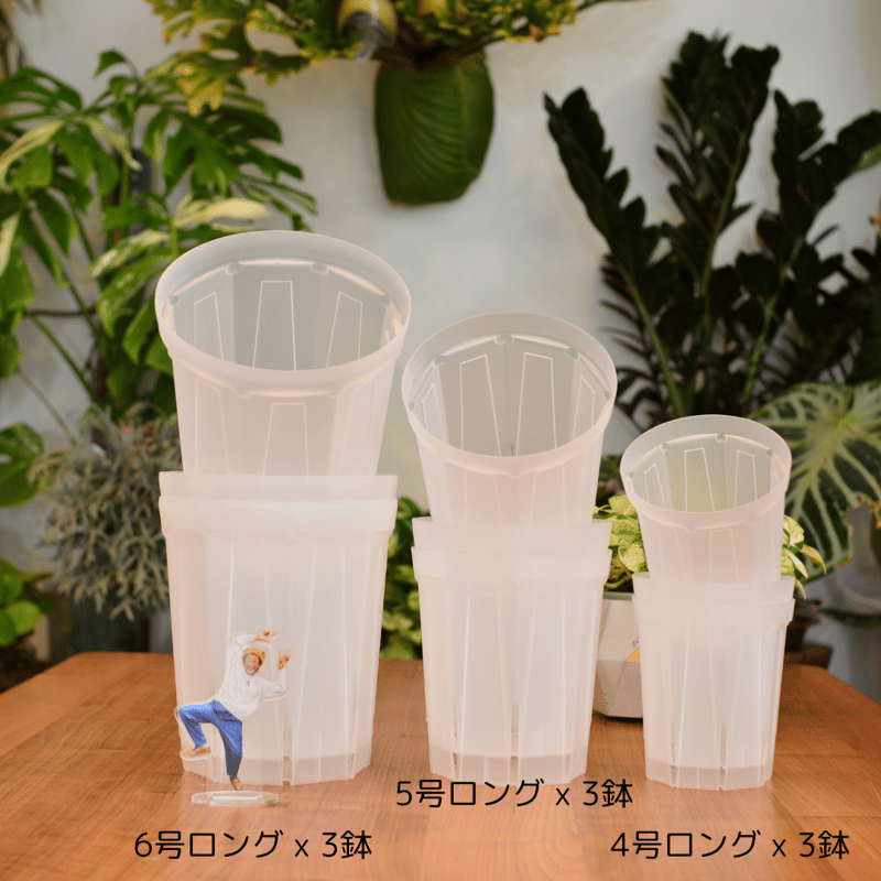 透明鉢《 NEgamieru 》箱80サイズ Dセット | 花森家-1号店-
