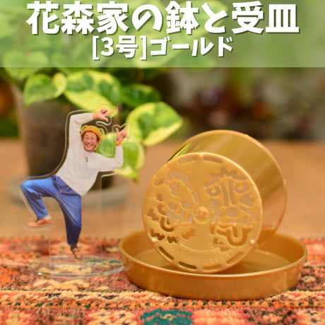[3号]花森家の鉢 x 受け皿(ゴールド)単品