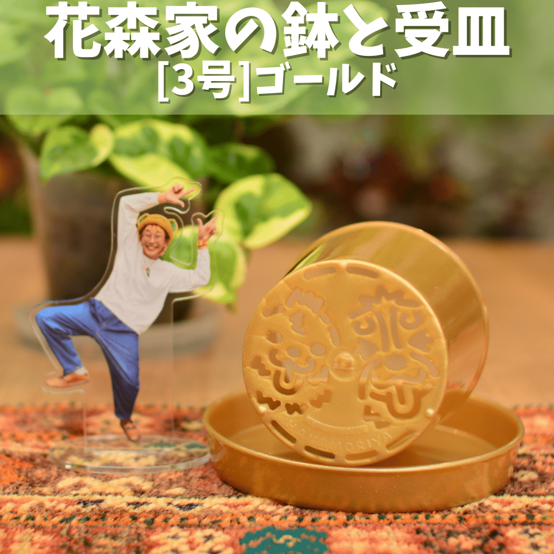 3号]花森家の鉢 x 受け皿(ゴールド)単品 | 花森家-1号店-