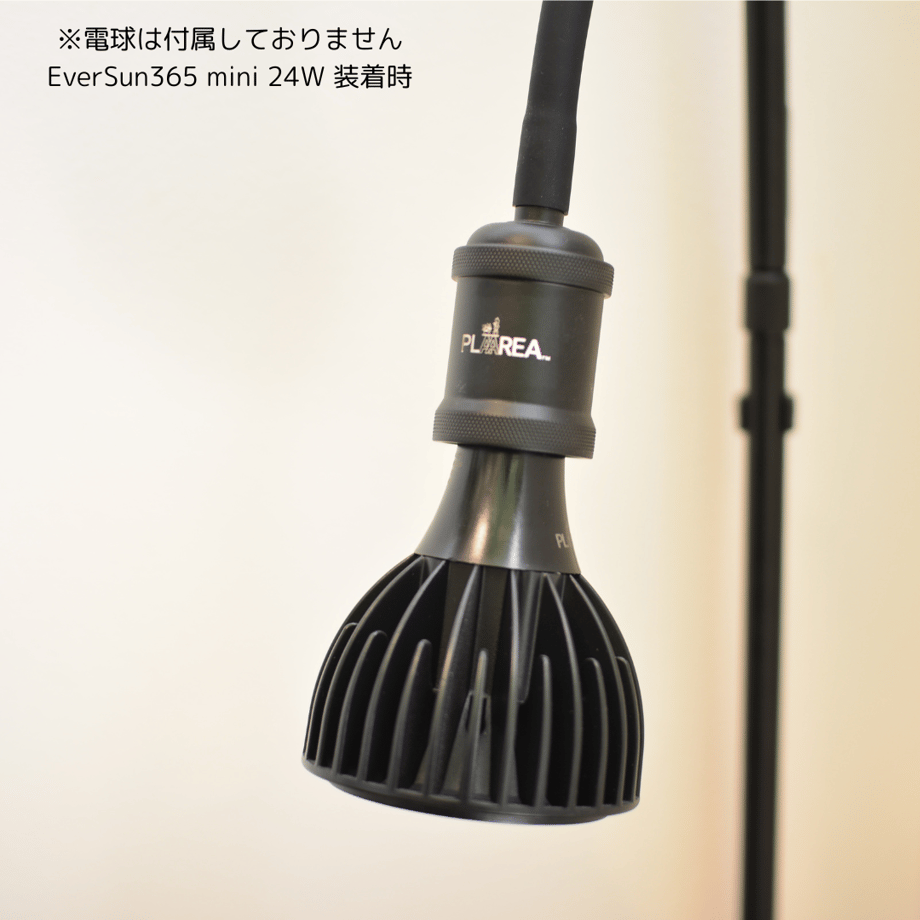67ac359ac774eb002bd8290e