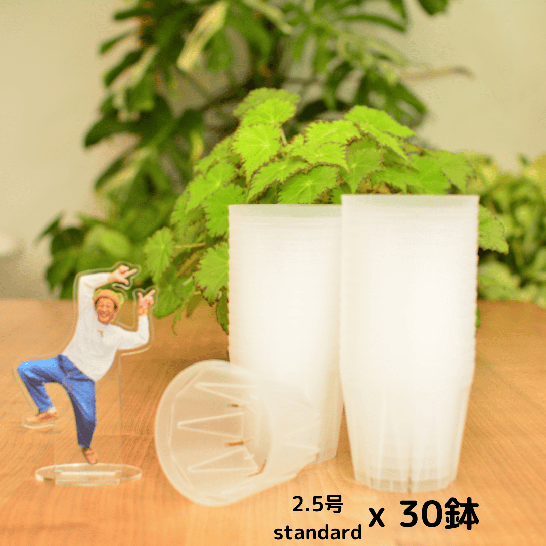 透明鉢《 NEgamieru 》箱60サイズ Eセット | 花森家 オンラインストア