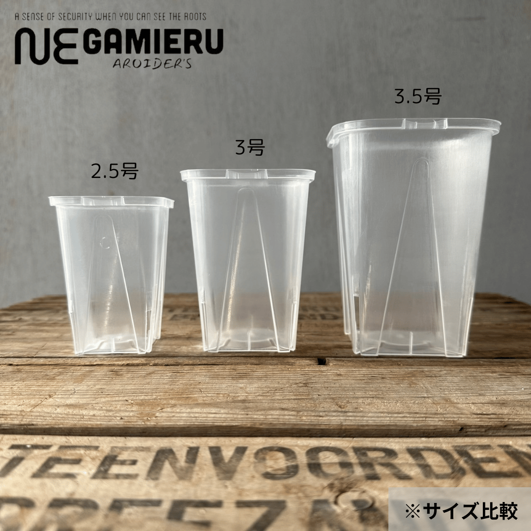 透明鉢《 NEgamieru 》2.5号ロング角 8鉢セット | 花森家 オンラインストア