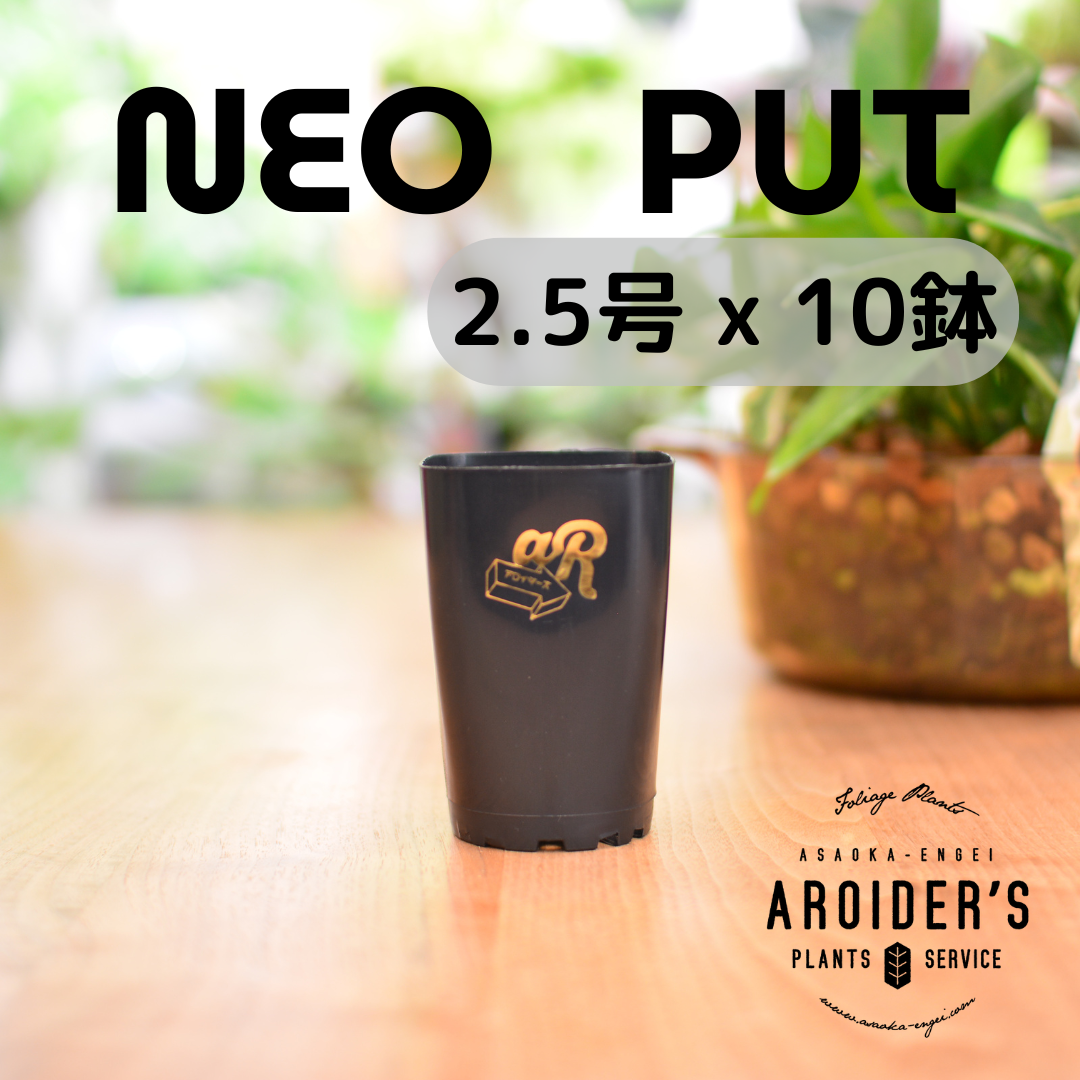 高級♦️欅♦️アッシュトレイ♦️未使用♦️キレイな木目の温もり♦️送料込 話題の薄型ボディのアコギ! フェンダーからHIGHWAY シリーズが
