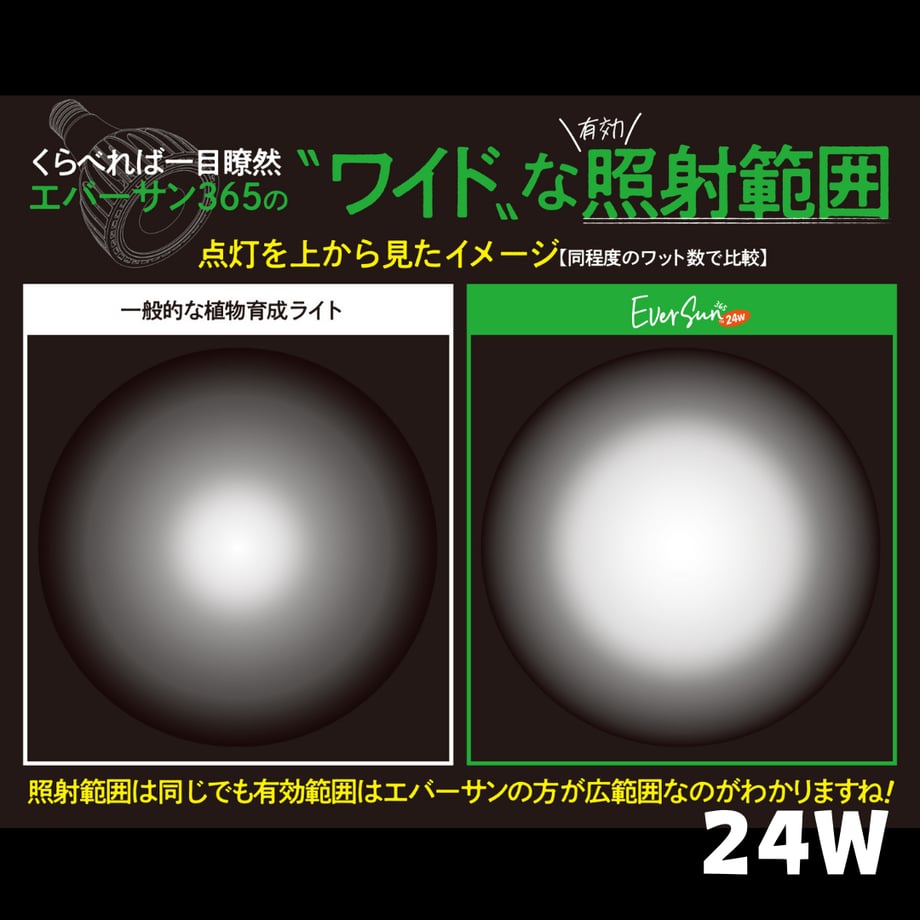 67a5bf90fe926007cb0b3e92