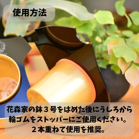 花森家　MOREDAI　肆
