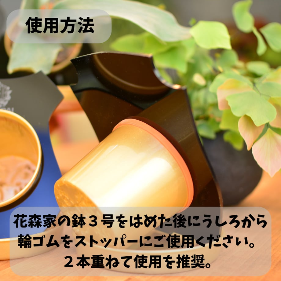 6a1936a1c650085c4054b551