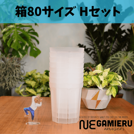 透明鉢《 NEgamieru 》箱80サイズ Hセット