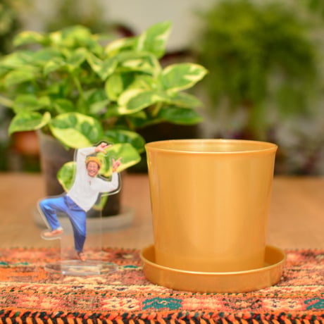 [4号]花森家の鉢 x 受け皿(ゴールド)単品