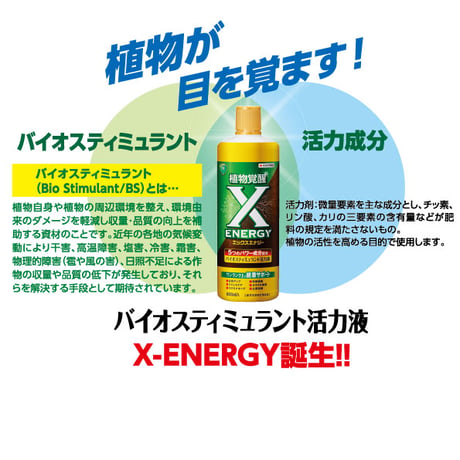 【活力剤】X-ENERGY(エックスエナジー)
