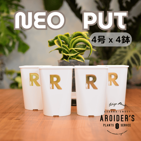 Neo Put White 4号 4鉢セット