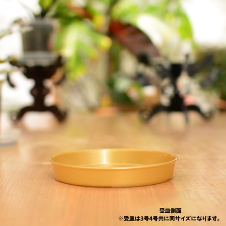 [3号]花森家の鉢 x 受け皿(ゴールド)単品