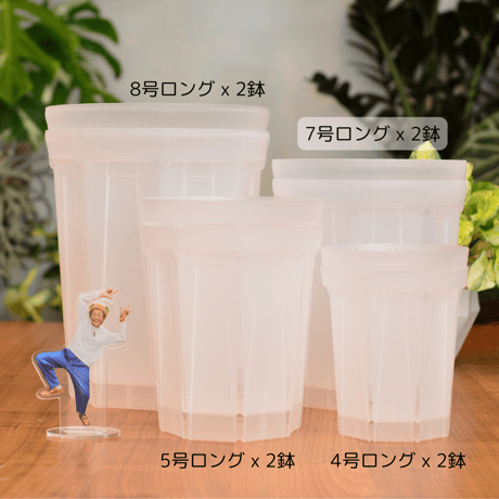 透明鉢《 NEgamieru 》箱80サイズ Gセット