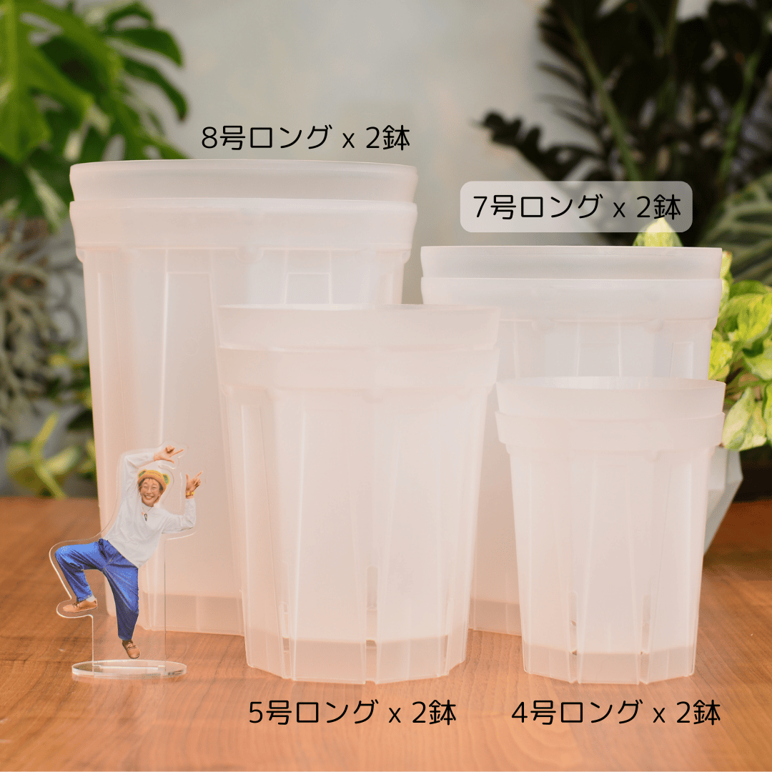 透明鉢《 NEgamieru 》箱80サイズ Gセット | 花森家 オンラインストア