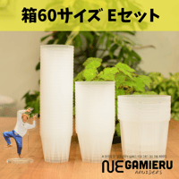 透明鉢《 NEgamieru 》箱60サイズ Eセット