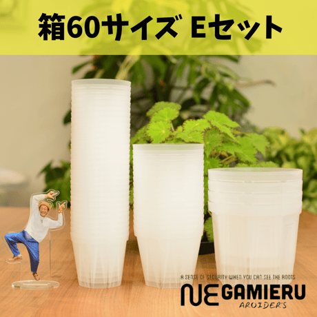 透明鉢《 NEgamieru 》箱60サイズ Eセット