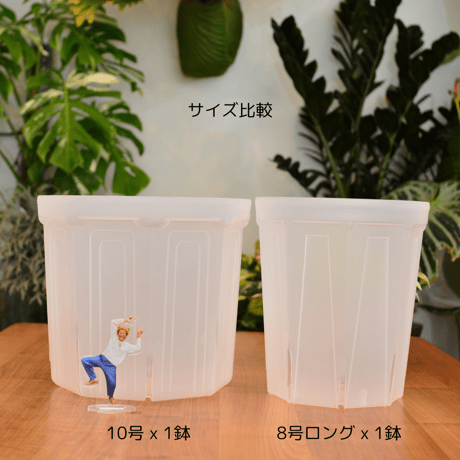 透明鉢《 NEgamieru 》箱120サイズ Aセット