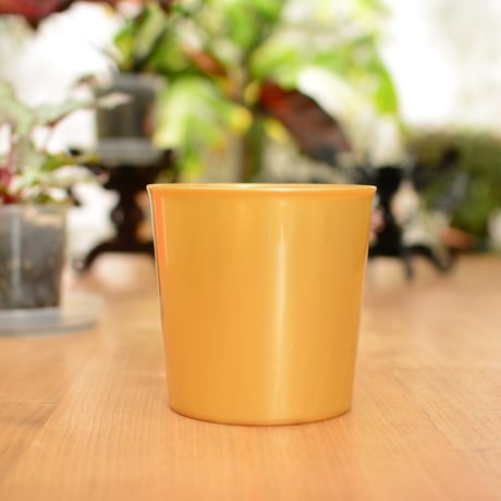 [4号]花森家の鉢 x 受け皿(ゴールド)単品
